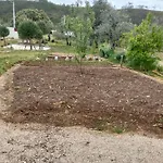 Casinha Estrelas