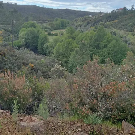 Appartement Casinha Estrelas