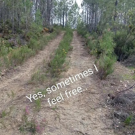 Casinha Estrelas Appartement