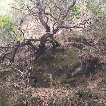 アパート Casinha Estrelas *