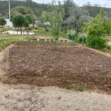 Casinha Estrelas