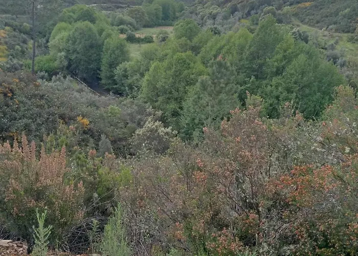 Daire Casinha Estrelas