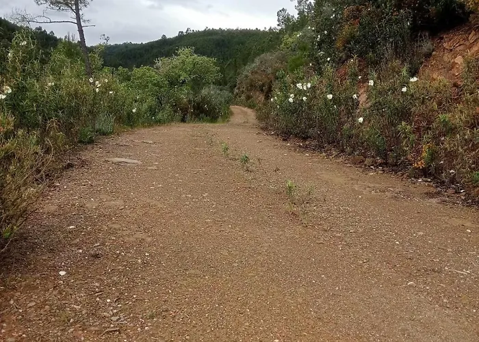 Daire Casinha Estrelas