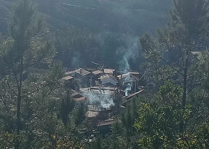 Casinha Estrelas Daire Cerejeira