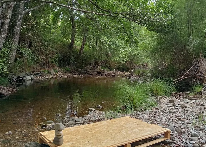 Daire Casinha Estrelas